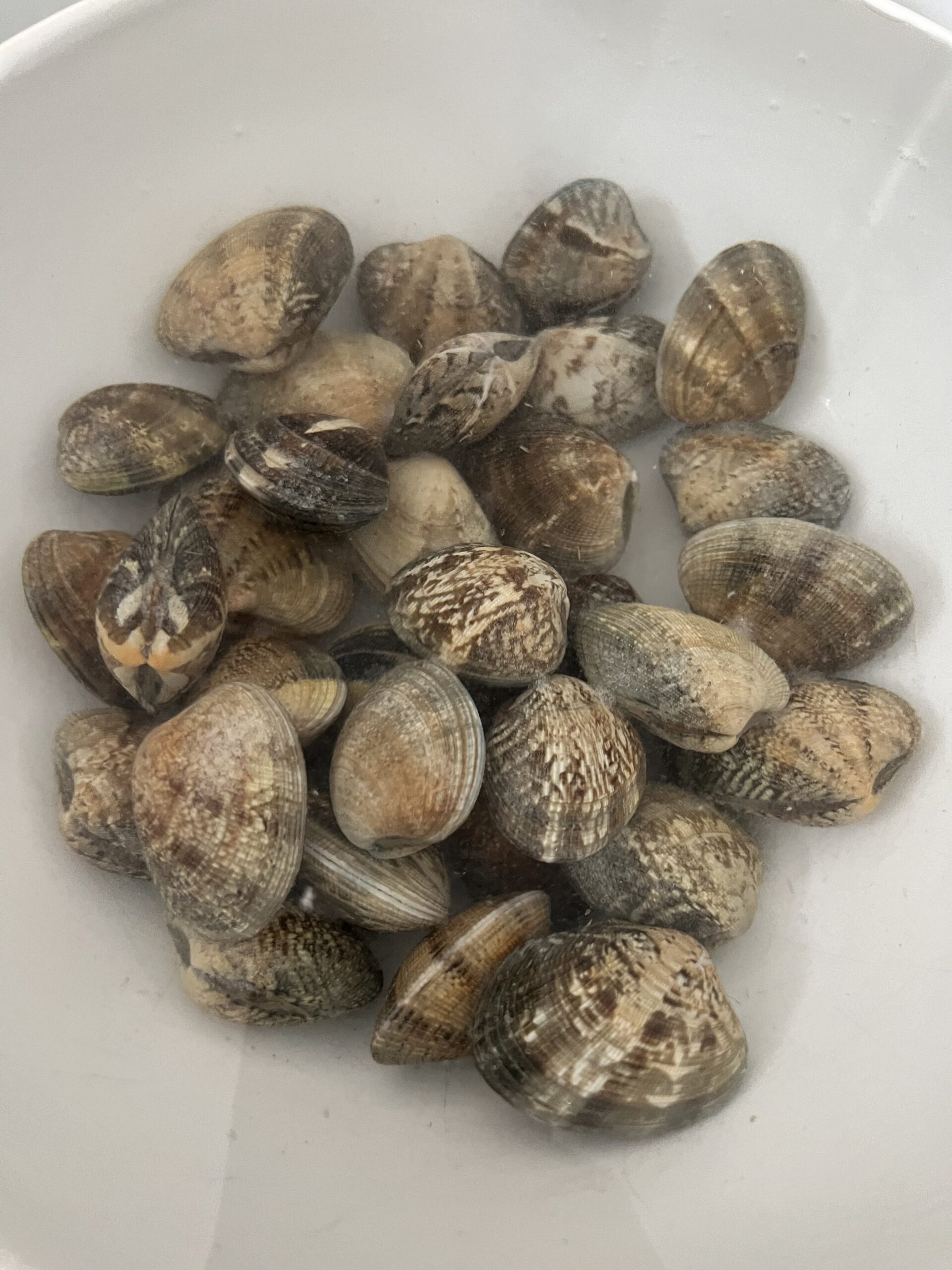Spaghetti vongole