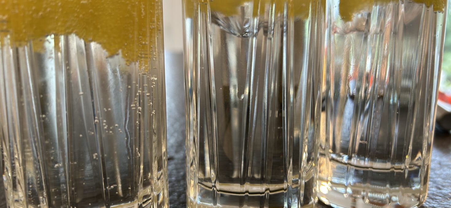Gin Tonic – Le Tribute