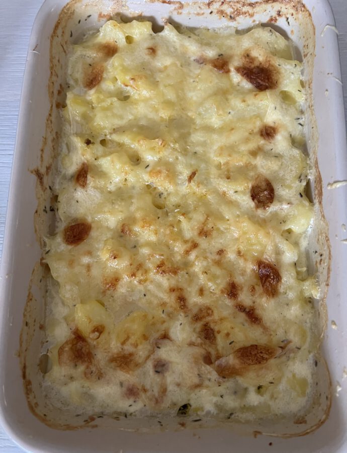 Kartoffelgratin