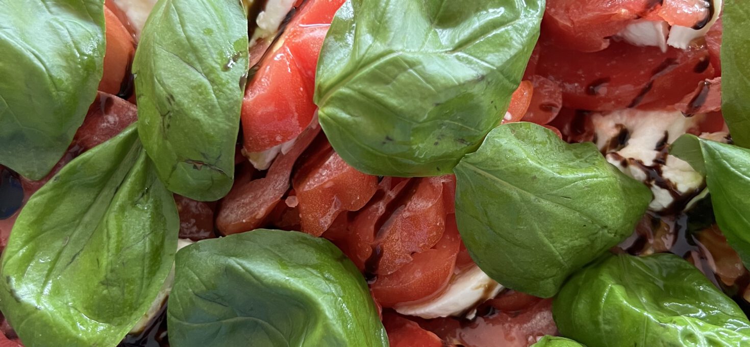Tomate Mozzarella