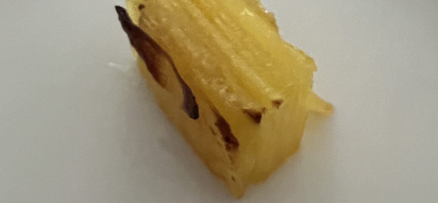 Kartoffel Pavé