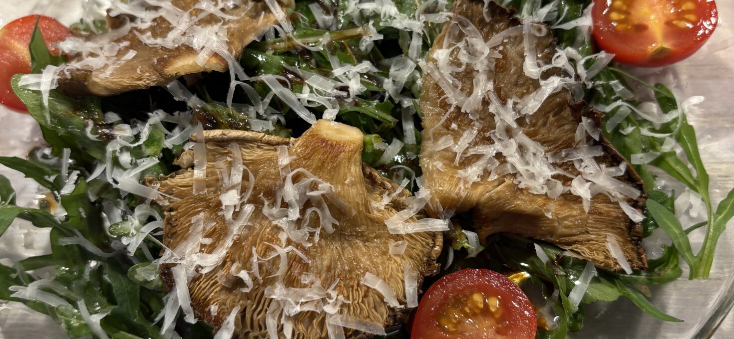 Rucola mit gebratenen Austernpilzen